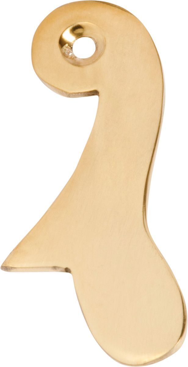 Sash Drop Polished Brass H60xW30mm