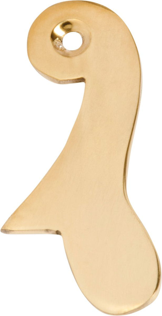 Sash Drop Polished Brass H60xW30mm